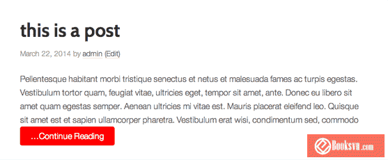 viet-hoa-dong-chu-read-more-trong-genesis-child-theme