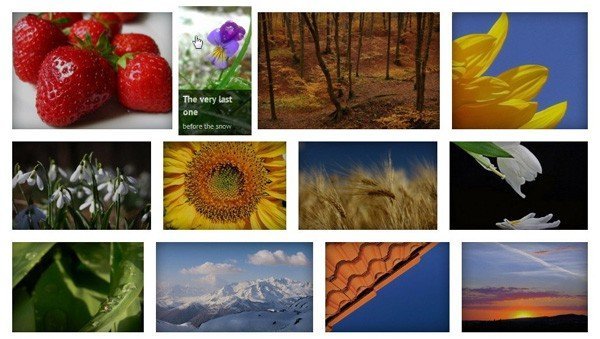 justified-image-grid