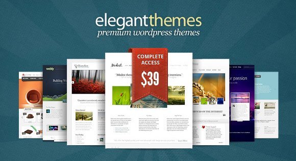 Premium-WordPress-themes-Elegantthemes