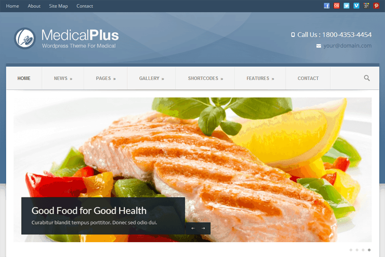 medical-plus-theme