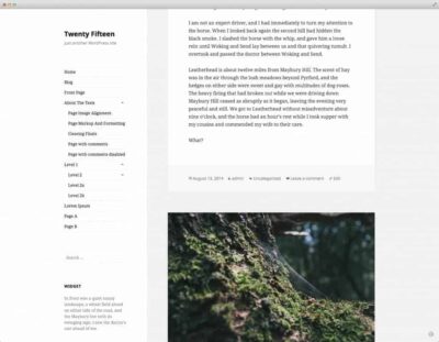 twenty-fifteen-theme-demo-10