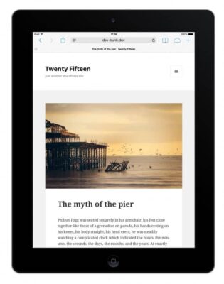 twenty-fifteen-theme-demo-4