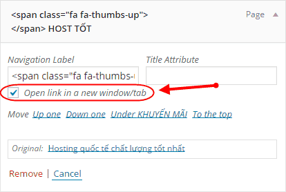 wordpress-menu-open-link-in-a-new-tab
