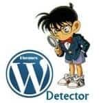 check-theme-va-plugin-cua-website-wordpress