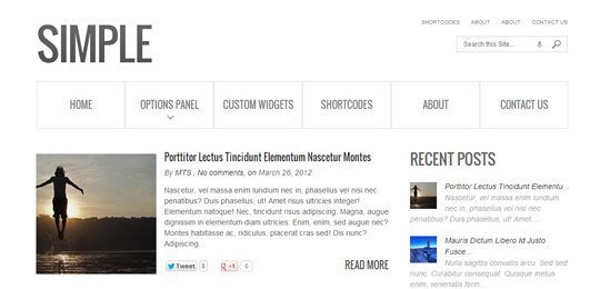 Minimalist-WordPress-themes-cover