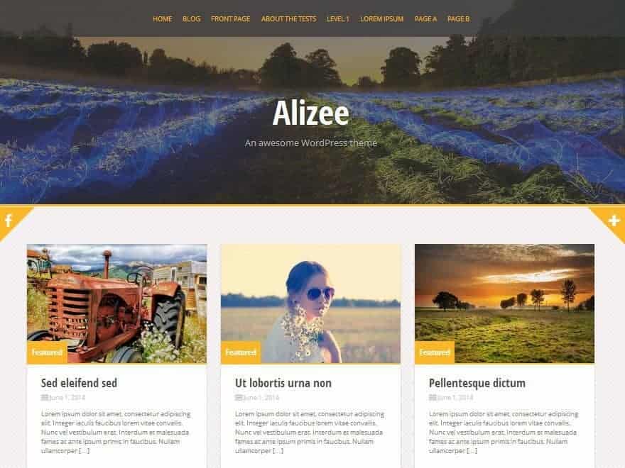 Alizee-WP-Theme