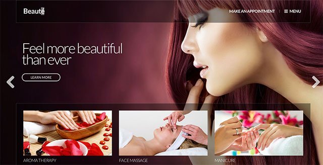 Beauty-spa-salon-wordpress-themes-cover