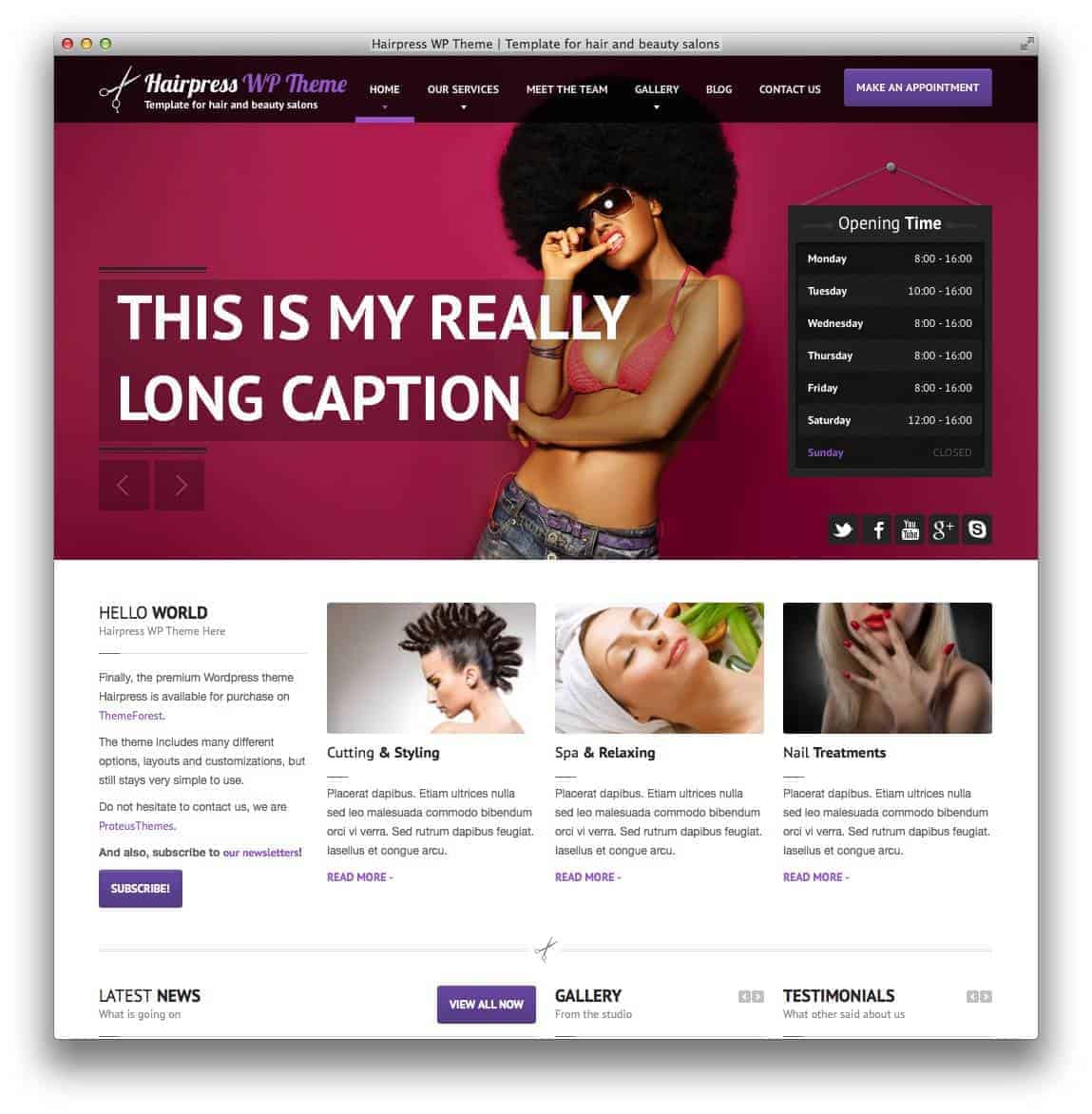 hairpress-wordpress-theme
