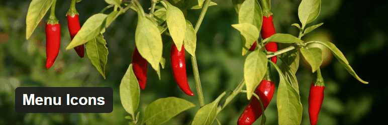 huong-dan-them-icon-vao-menu-cua-wordpress