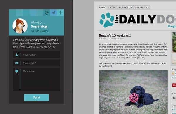 ninja-kick-contact-form