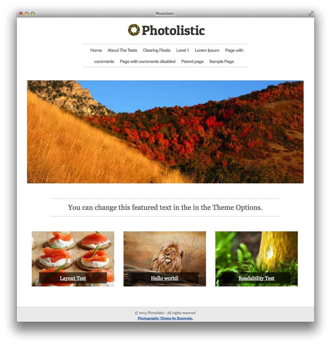 photolistic-wedding-theme
