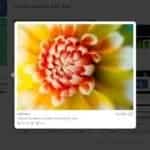 best-wordpress-lightbox-plugins