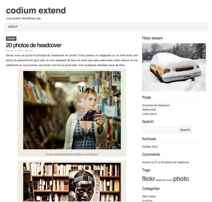 Codium-Extend-WP-Theme