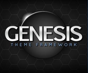 Gộp chung post info và post meta trong Genesis Framework