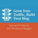 ebook-grow-your-traffic-build-your-blog