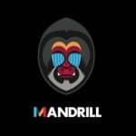 su-dung-mandrill-de-gui-email-trong-wordpress