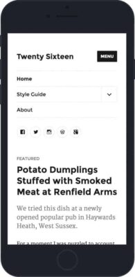 twenty-sixteen-wordpress-default-theme-12