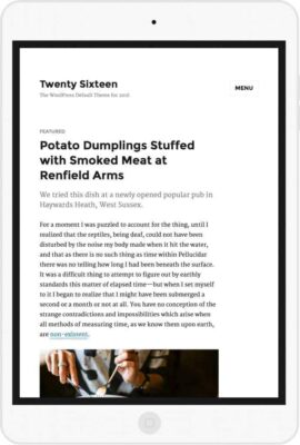 twenty-sixteen-wordpress-default-theme-13