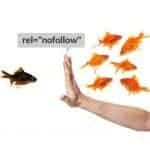 bo-sung-muc-add-rel-nofollow-vao-khung-soan-thao-wordpress