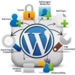tinh-nang-an-tren-wordpress