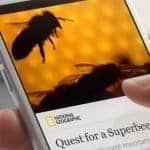 facebook-instant-article-cho-wordpress