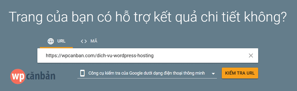 nhap-url-de-kiem-tra-ket-qua-nhieu-dinh-dang