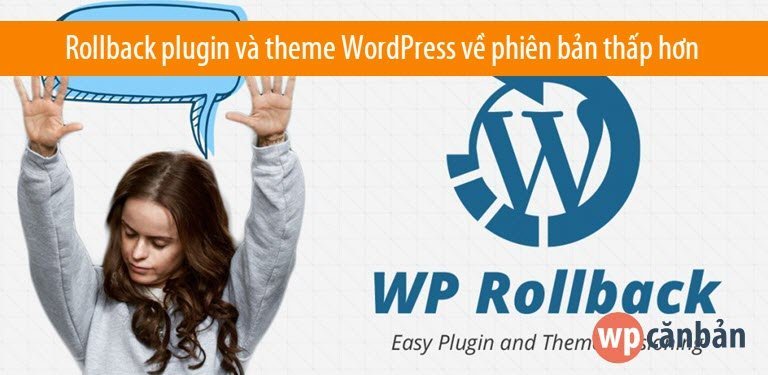 rollback-plugin-va-theme-wordpress-ve-phien-ban-cu-hon