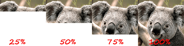 baseline-jpeg-example