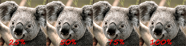 progressive-jpeg-example