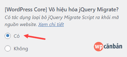 vo-hieu-hoa-jquery-migrate-trong-theme-paradise