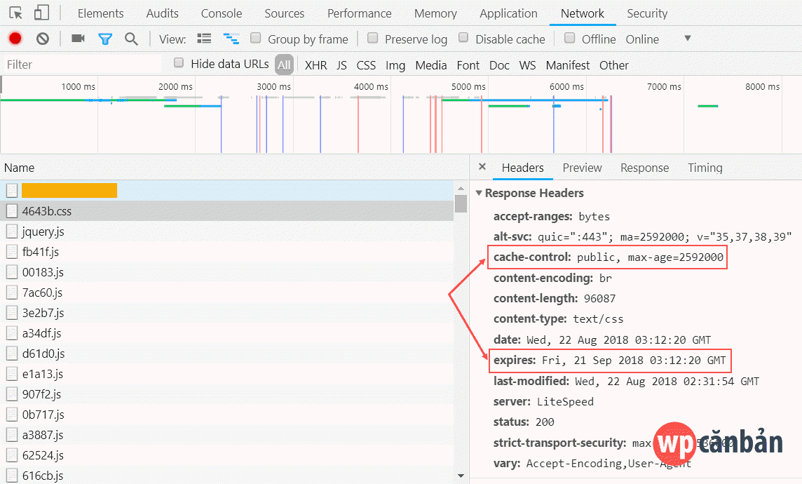 kiem-tra-browser-caching