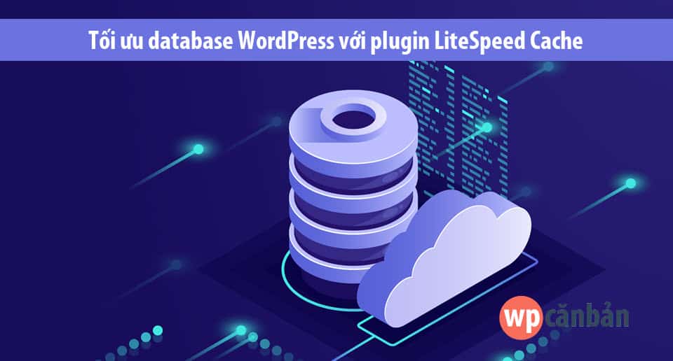toi-uu-database-wordpress-voi-plugin-litespeed-cache