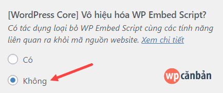 tat-tinh-nang-vo-hieu-hoa-embed-script-cua-theme-paradise