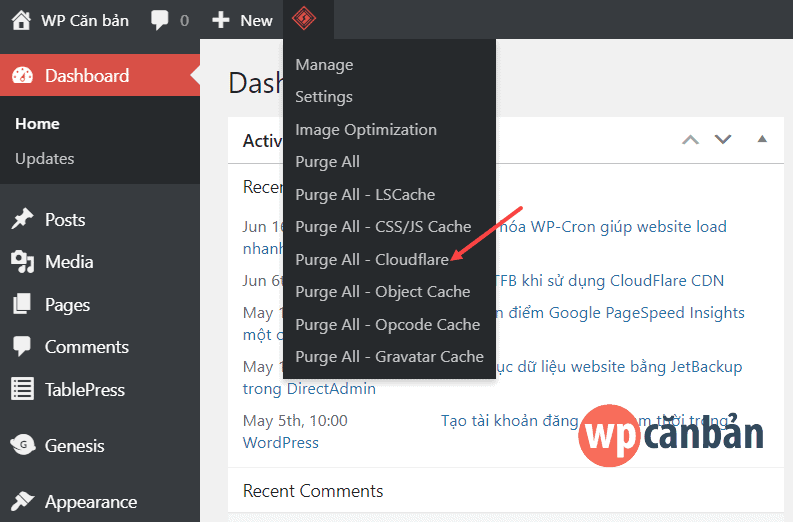 xoa-cache-cloudflare-bang-plugin-litespeed-cache