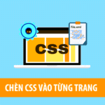 chen-css-vao-tung-trang-trong-wordpress