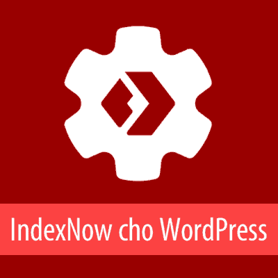 Kích hoạt IndexNow với plugin của Microsoft - WP Căn bản