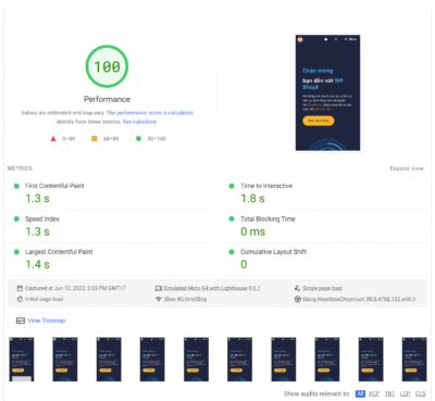 shop-wpcanban-com-google-pagespeed-mobile-test