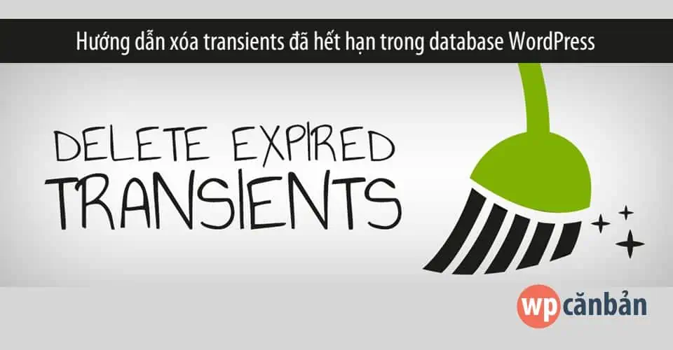 xoa-transients-het-han-trong-database-cua-website-wordpress