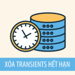 xoa-transients-het-han-trong-database-wordpress