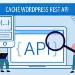 cache-wordpress-rest-api