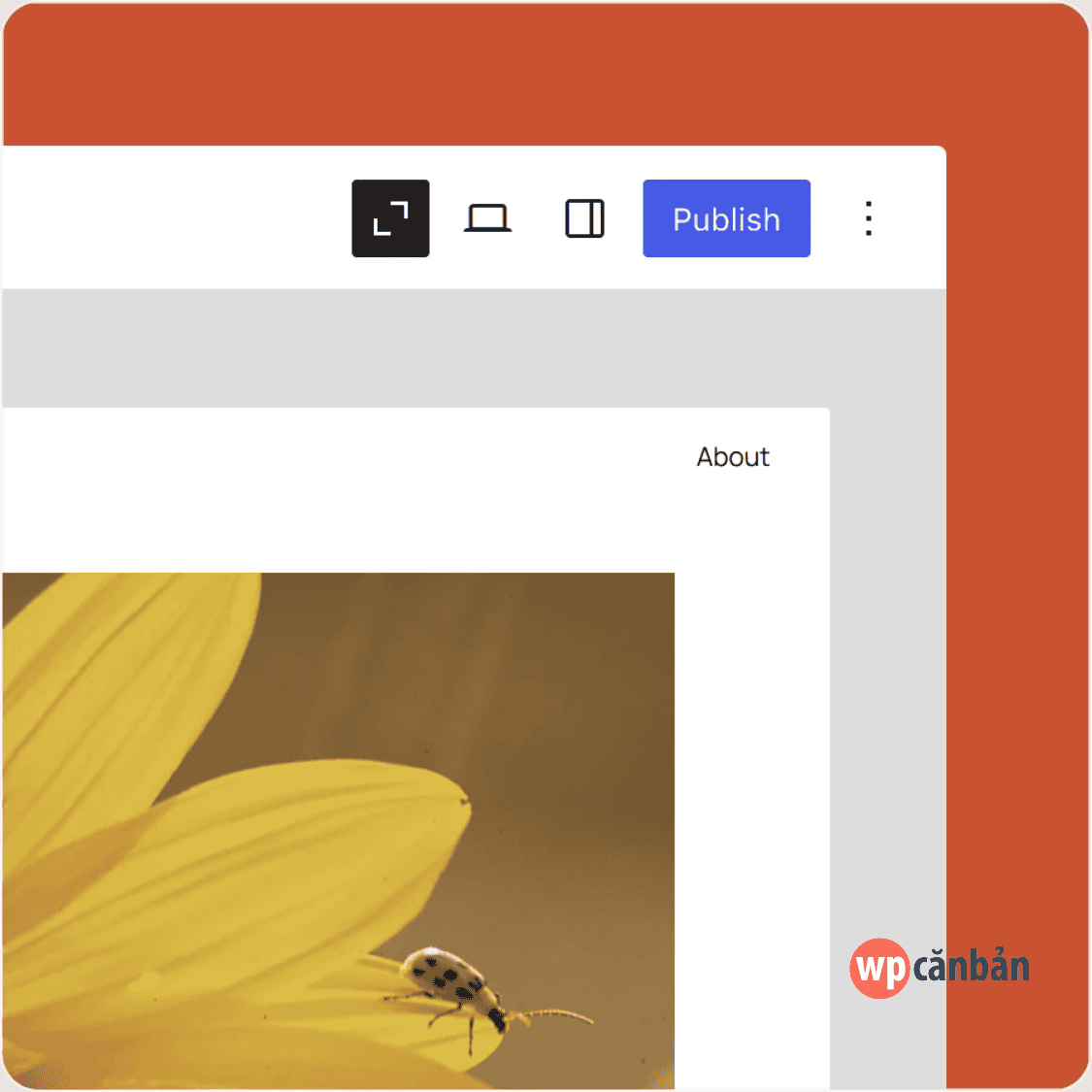 xem-toan-canh-voi-zoom-out