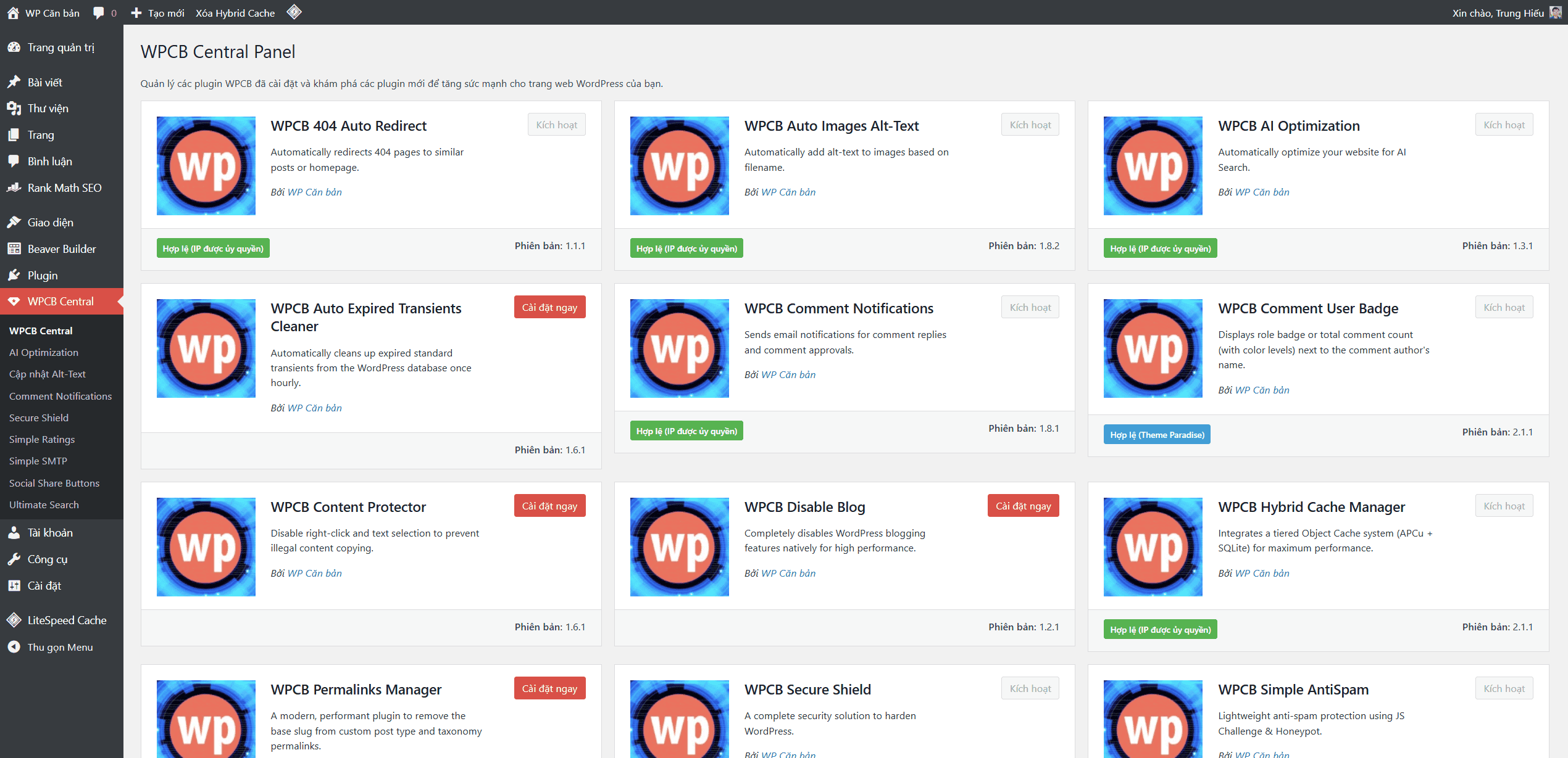 giao-dien-plugin-wpcb-central-panel
