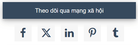 demo-widget-wpcb-social-icons